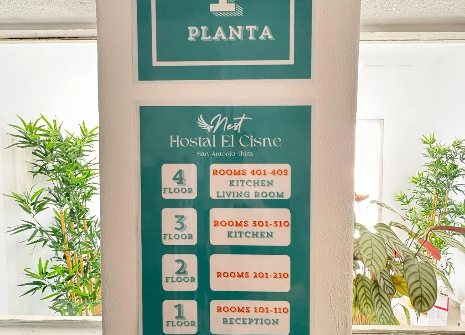 Guest house Cisne By Nest Hostel San Antonio
