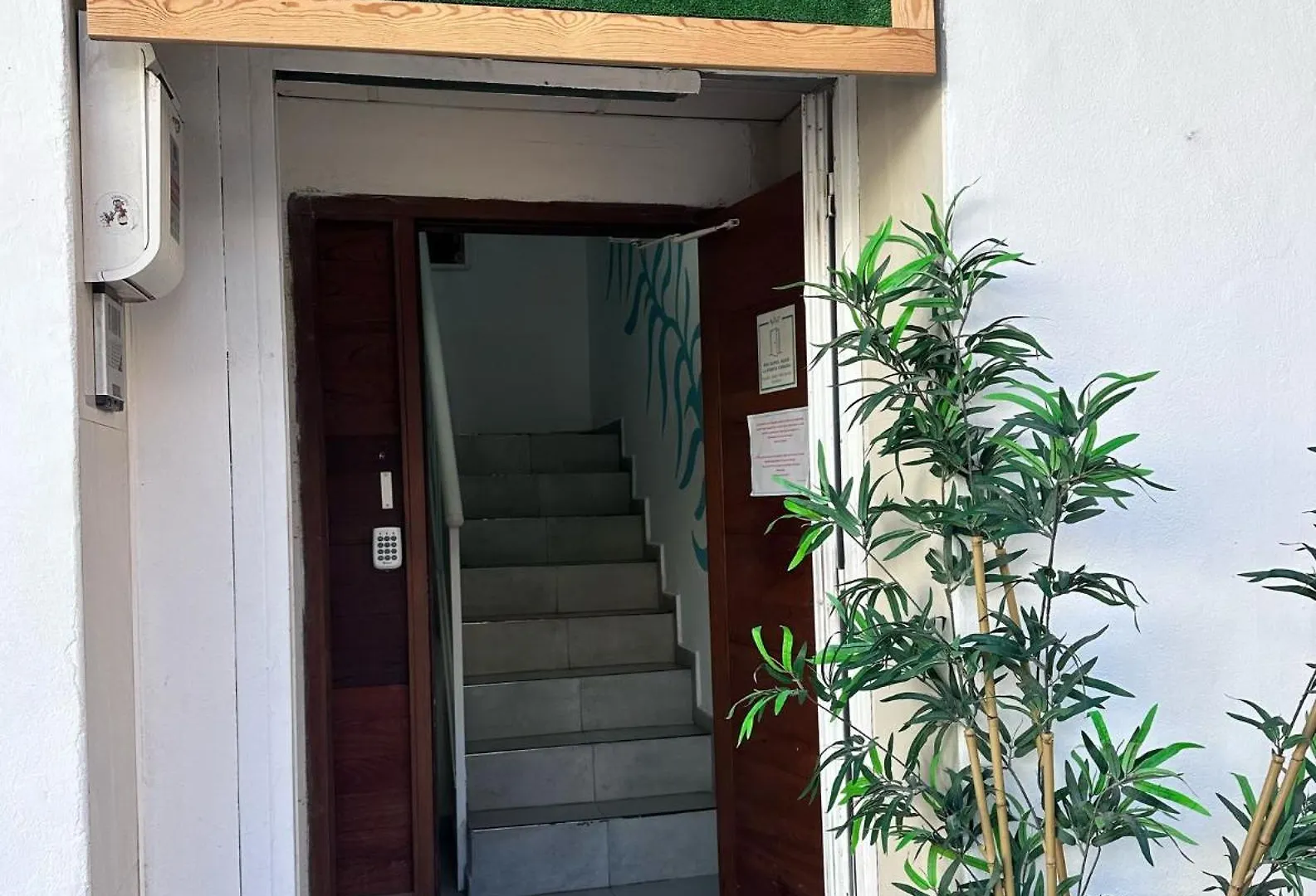 Cisne By Nest Hostel San Antonio  Spain